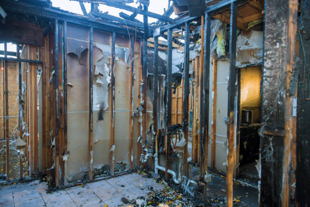 Professional Fire Damage Removal technician working in Fallston, MD